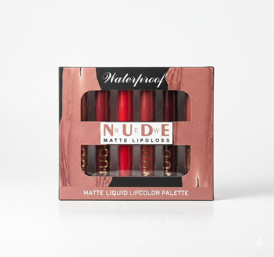 Matte Lip gloss Pack of 6